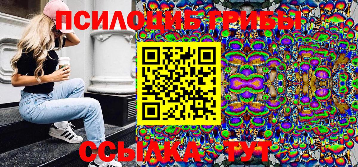 Георгиевск  Галлюциногенные грибы Magic Shrooms  Вход с VPN  Галлюциногенные грибы MAGIC MUSHROOMS 