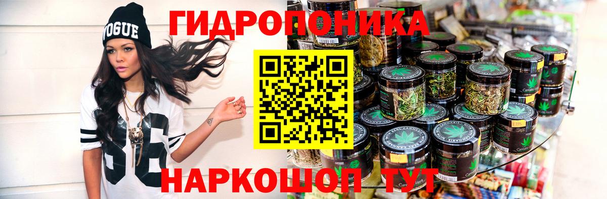 Шишки марихуана семена  Вход с VPN  Шишки марихуана семена  Каннабис план  Георгиевск 